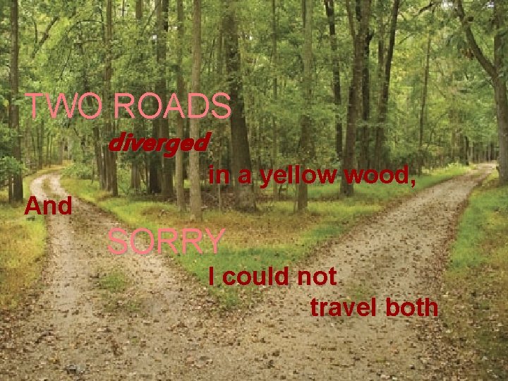 TWO ROADS diverged in a yellow wood, And SORRY I could not travel both