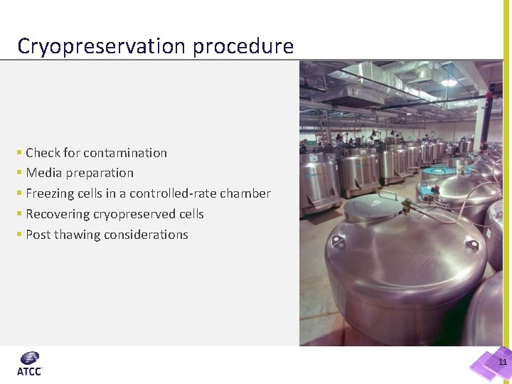 Cryopreservation procedure § Check for contamination § Media preparation § Freezing cells in a