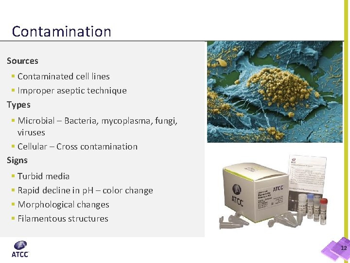 Contamination Sources § Contaminated cell lines § Improper aseptic technique Types § Microbial –