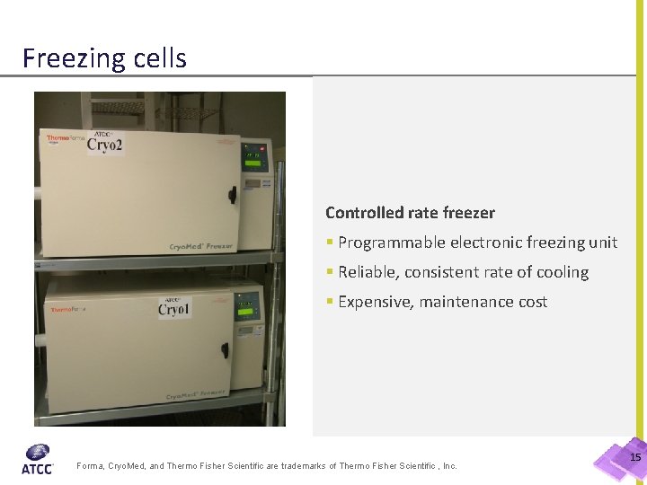Freezing cells Controlled rate freezer § Programmable electronic freezing unit § Reliable, consistent rate