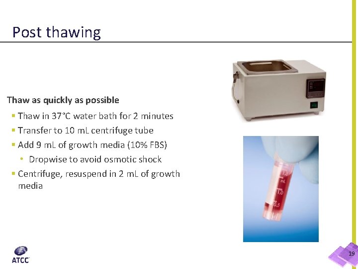 Post thawing Thaw as quickly as possible § Thaw in 37°C water bath for