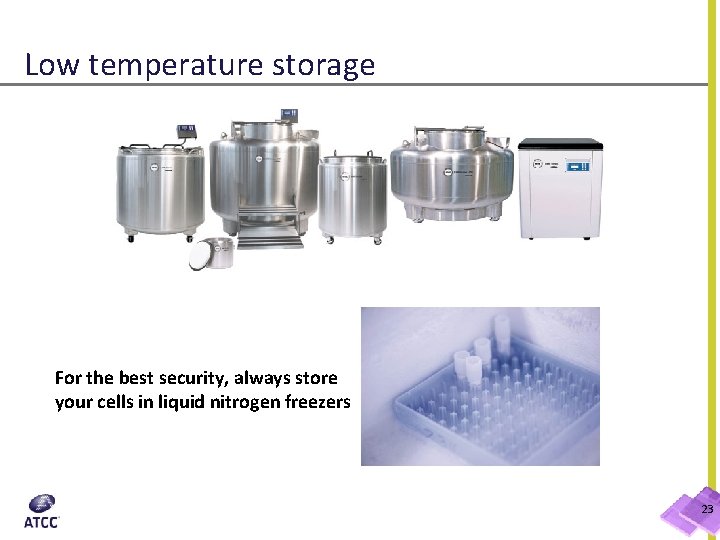 Low temperature storage For the best security, always store your cells in liquid nitrogen