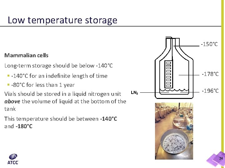 Low temperature storage -150°C Mammalian cells Long-term storage should be below -140°C § -140°C