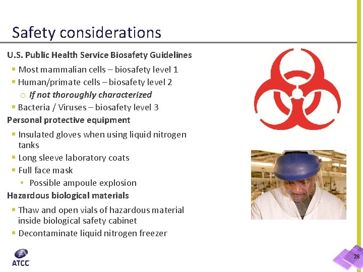 Safety considerations U. S. Public Health Service Biosafety Guidelines § Most mammalian cells –