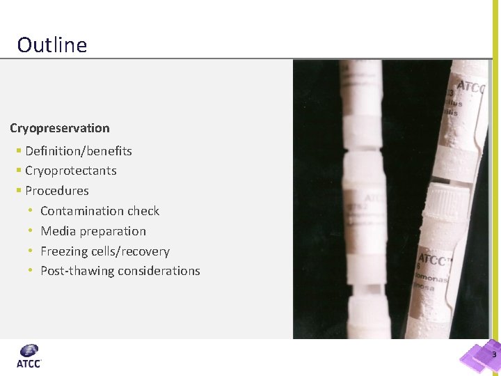 Outline Cryopreservation § Definition/benefits § Cryoprotectants § Procedures • Contamination check • Media preparation