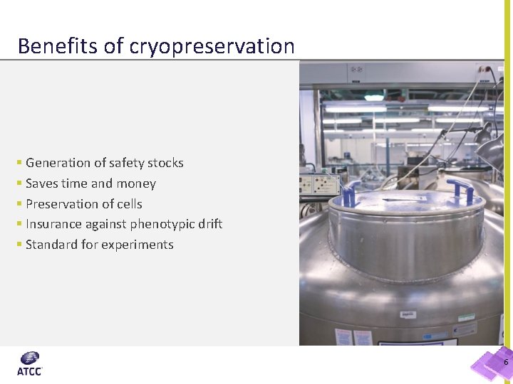Benefits of cryopreservation § Generation of safety stocks § Saves time and money §