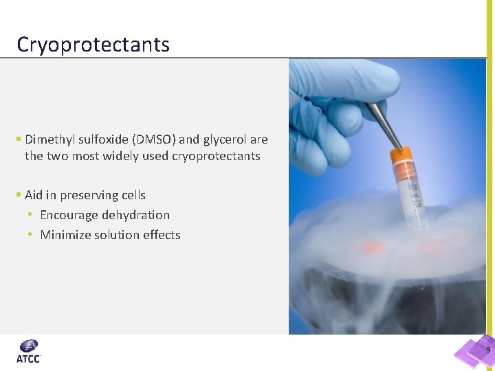 Cryoprotectants § Dimethyl sulfoxide (DMSO) and glycerol are the two most widely used cryoprotectants