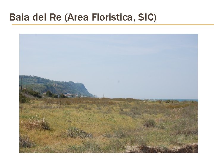 Baia del Re (Area Floristica, SIC) 