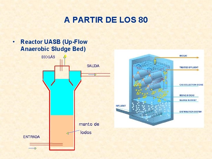 A PARTIR DE LOS 80 • Reactor UASB (Up-Flow Anaerobic Sludge Bed) BIOGÁS SALIDA