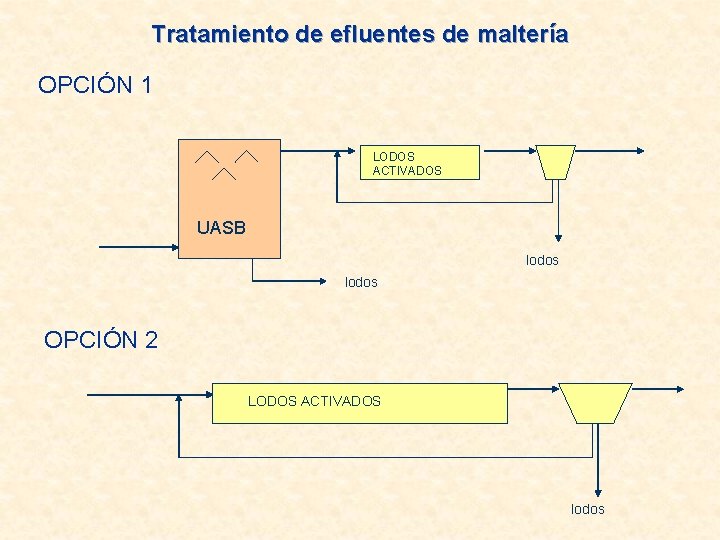 Tratamiento de efluentes de maltería OPCIÓN 1 LODOS ACTIVADOS UASB lodos OPCIÓN 2 LODOS