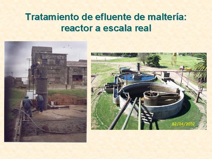 Tratamiento de efluente de maltería: reactor a escala real 