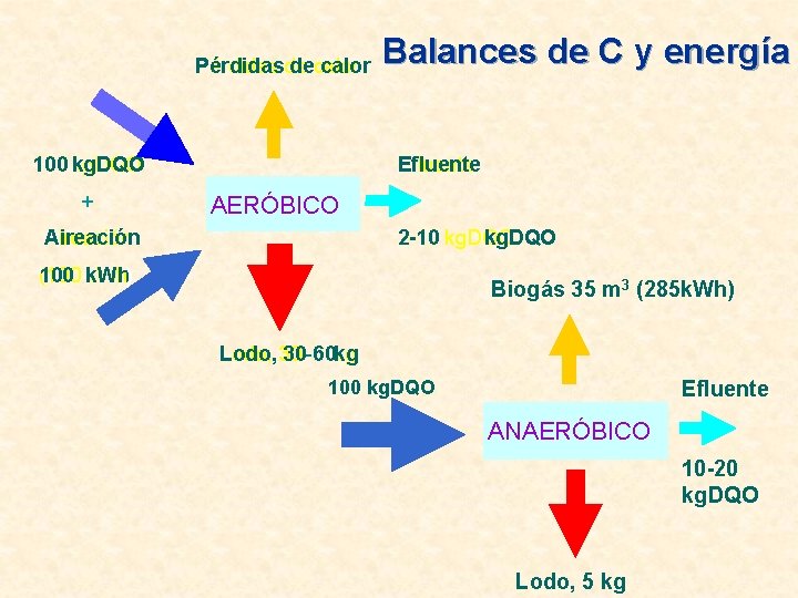 Pérdidas de decalor 100 kg. DQO + Balances de C y energía Efluente AERÓBICO