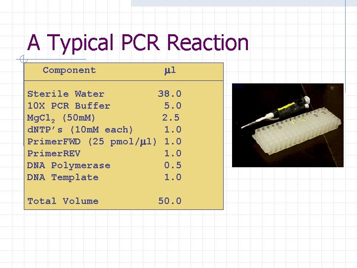 A Typical PCR Reaction Component ml Sterile Water 38. 0 10 X PCR Buffer