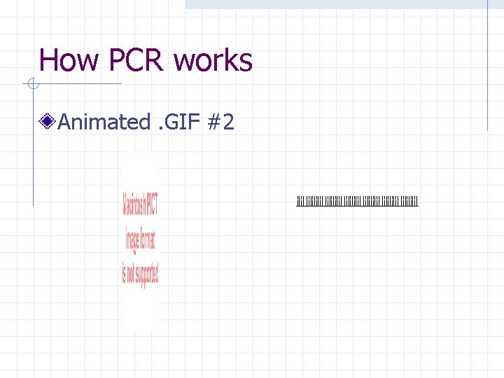 How PCR works Animated. GIF #2 