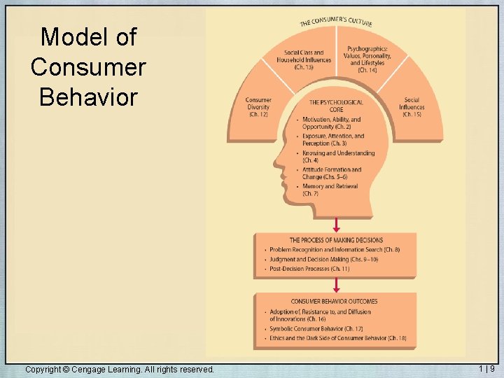 Model of Consumer Behavior Copyright © Cengage Learning. All rights reserved. 1|9 