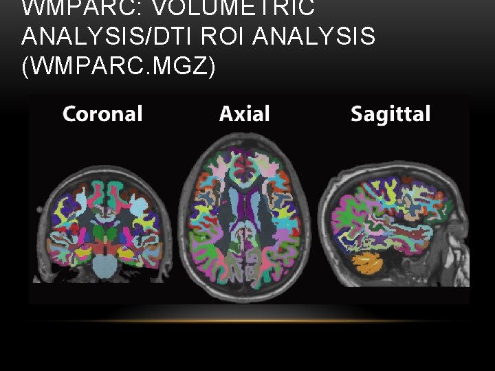 WMPARC: VOLUMETRIC ANALYSIS/DTI ROI ANALYSIS (WMPARC. MGZ) 