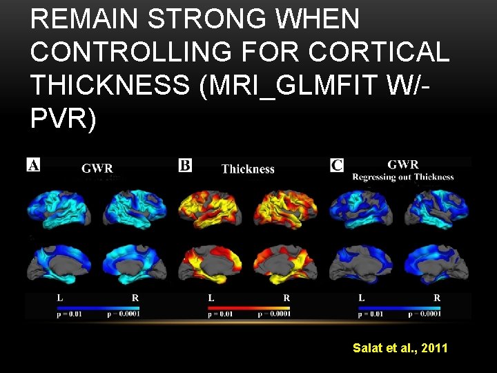 REMAIN STRONG WHEN CONTROLLING FOR CORTICAL THICKNESS (MRI_GLMFIT W/PVR) Salat et al. , 2011