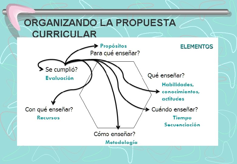 ORGANIZANDO LA PROPUESTA CURRICULAR 