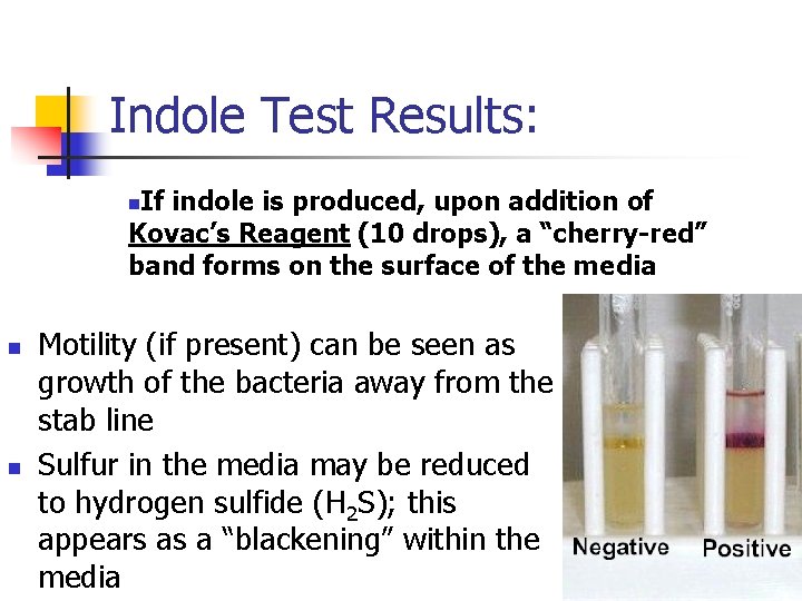 Indole Test Results: If indole is produced, upon addition of Kovac’s Reagent (10 drops),