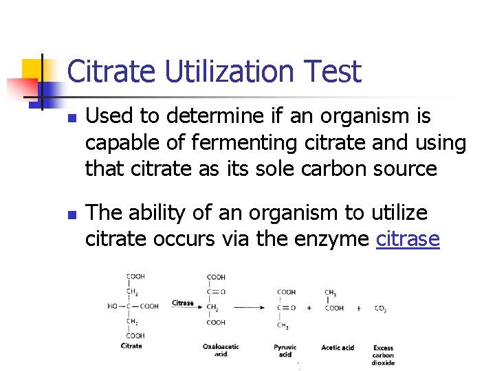 Citrate Utilization Test n n Used to determine if an organism is capable of