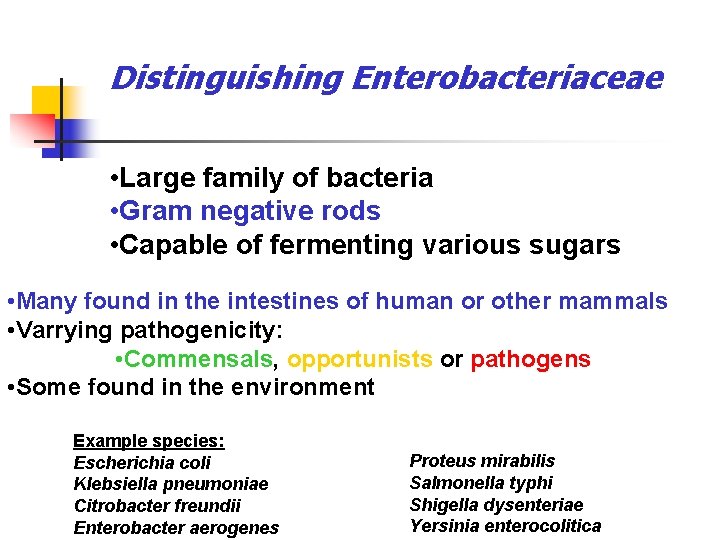 Distinguishing Enterobacteriaceae • Large family of bacteria • Gram negative rods • Capable of