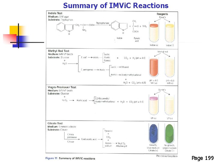 Summary of IMVi. C Reactions Page 199 
