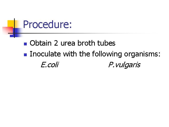 Procedure: n n Obtain 2 urea broth tubes Inoculate with the following organisms: E.