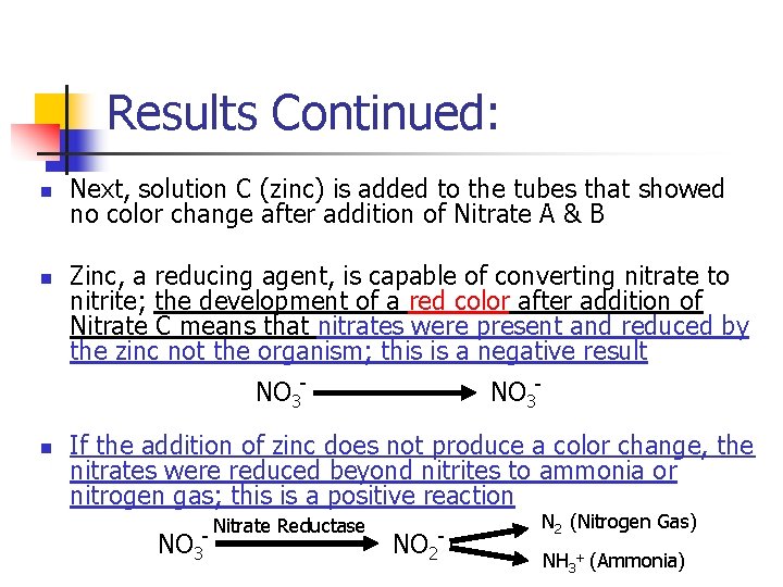 Results Continued: n n Next, solution C (zinc) is added to the tubes that