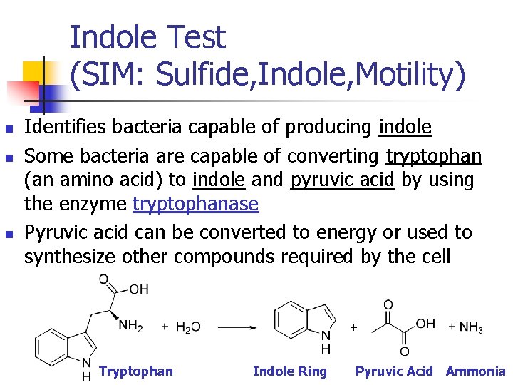 Indole Test (SIM: Sulfide, Indole, Motility) n n n Identifies bacteria capable of producing