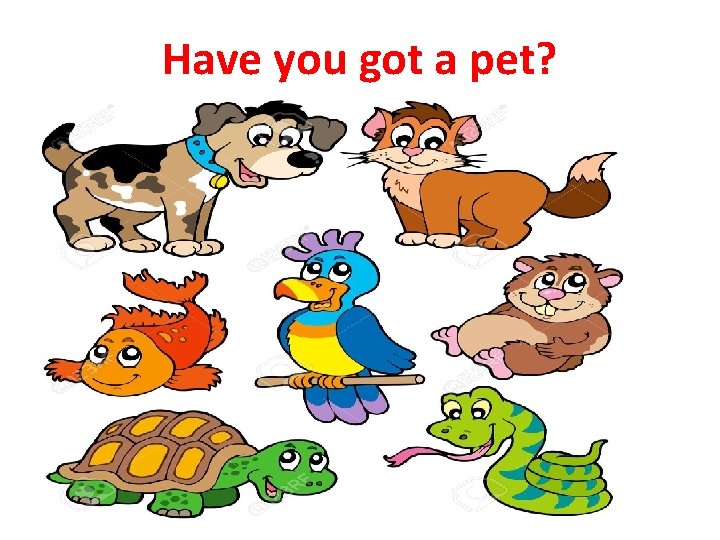 Have you got a pet? 