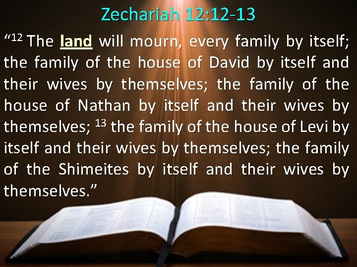 Zechariah 12: 12 -13 “ 12 The land will mourn, every family by itself;