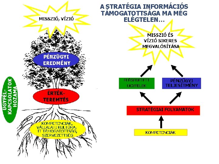 A STRATÉGIA INFORMÁCIÓS TÁMOGATOTTSÁGA MA MÉG ELÉGTELEN… © 