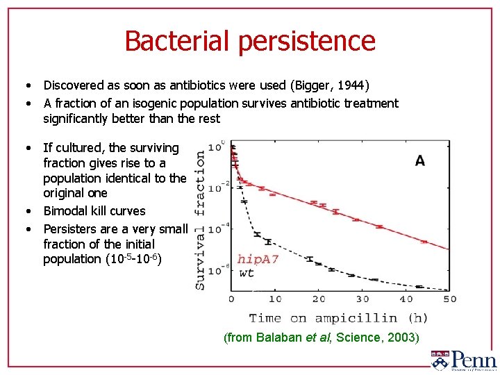 Bacterial persistence • Discovered as soon as antibiotics were used (Bigger, 1944) • A