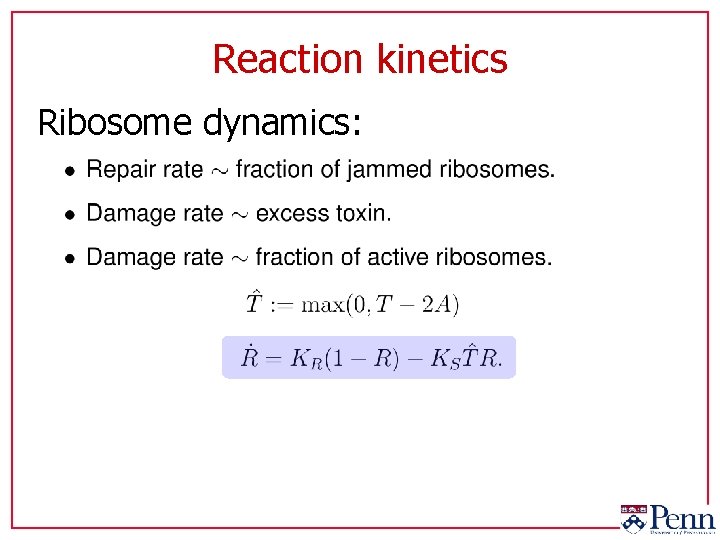 Reaction kinetics Ribosome dynamics: 
