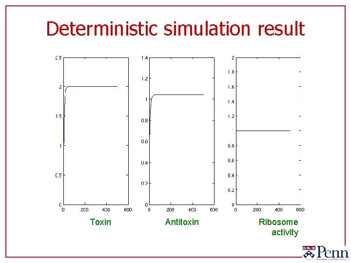 Deterministic simulation result Toxin Antitoxin Ribosome activity 