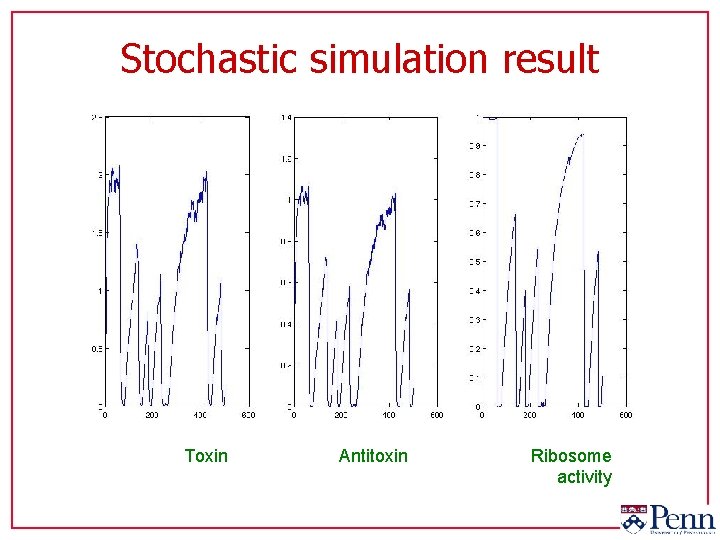 Stochastic simulation result Toxin Antitoxin Ribosome activity 