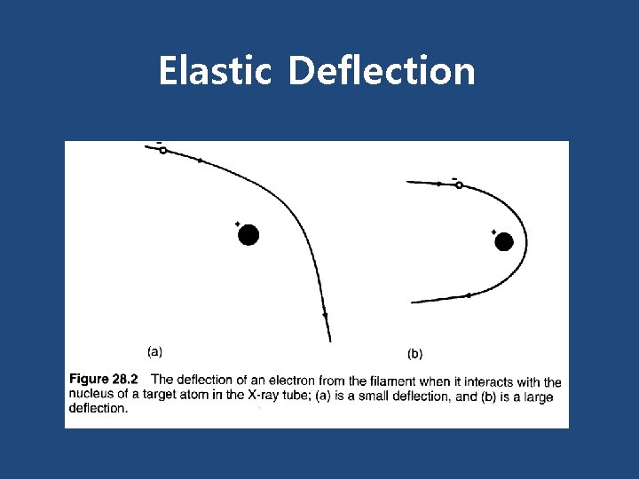 Elastic Deflection 