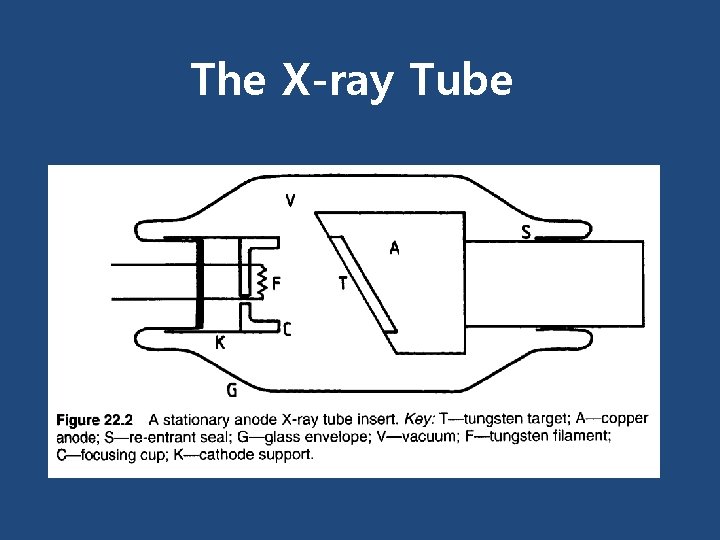 The X-ray Tube 