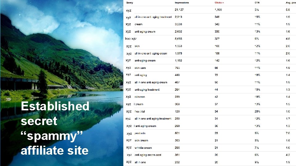 Established secret “spammy” affiliate site 