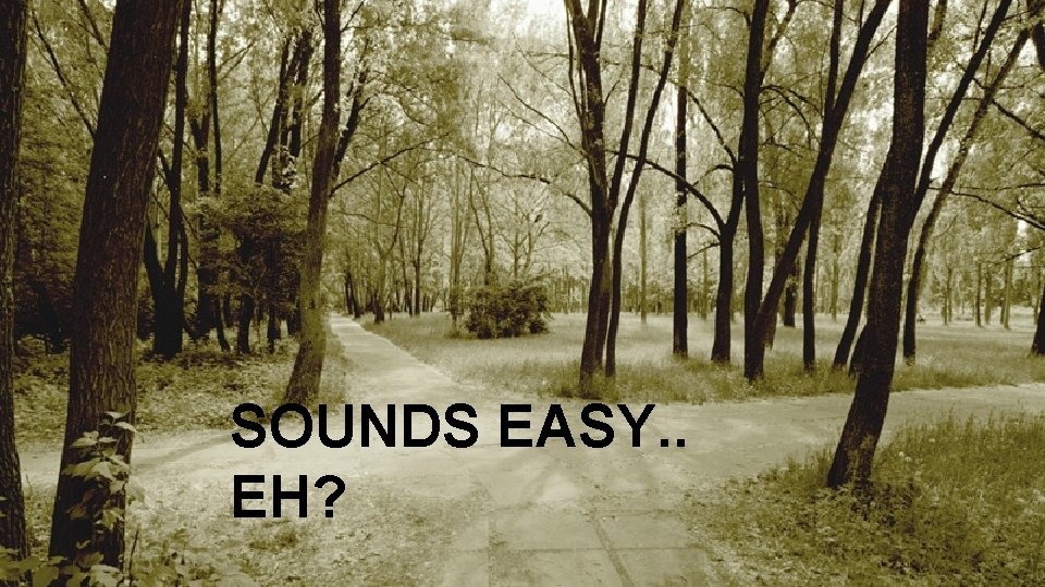 SOUNDS EASY. . EH? 