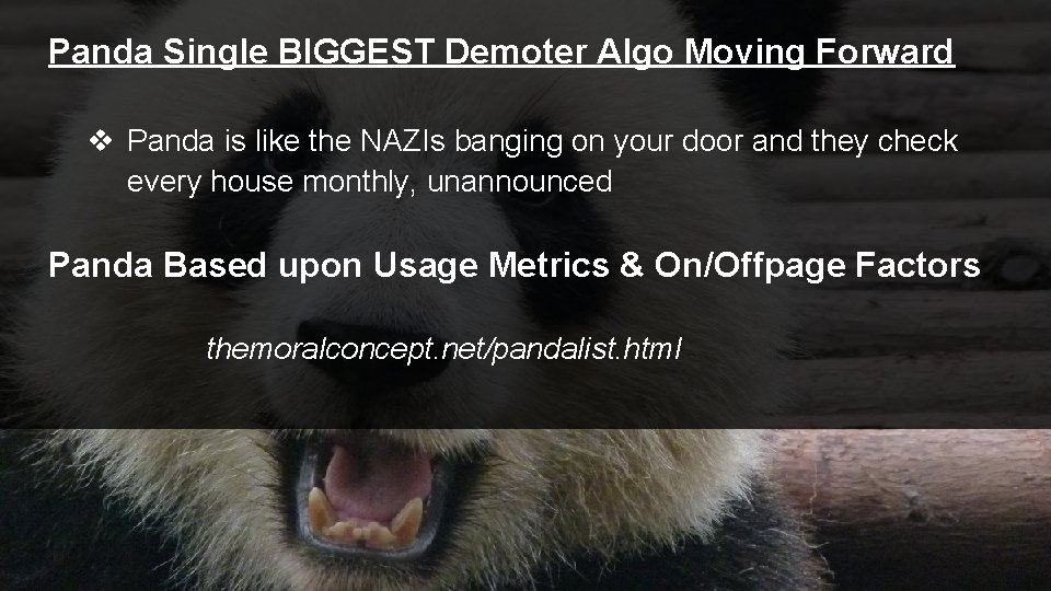 Panda Single BIGGEST Demoter Algo Moving Forward v Panda is like the NAZIs banging