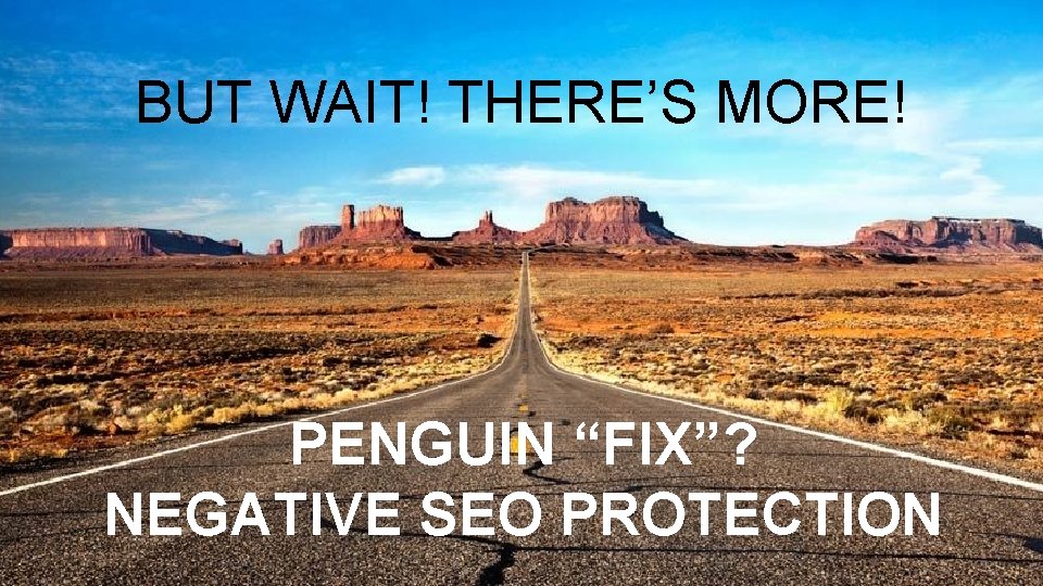 BUT WAIT! THERE’S MORE! IF YOU DON’T THEY WILL PENGUIN “FIX”? NEGATIVE SEO PROTECTION