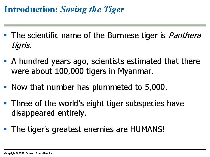 Introduction: Saving the Tiger § The scientific name of the Burmese tiger is Panthera
