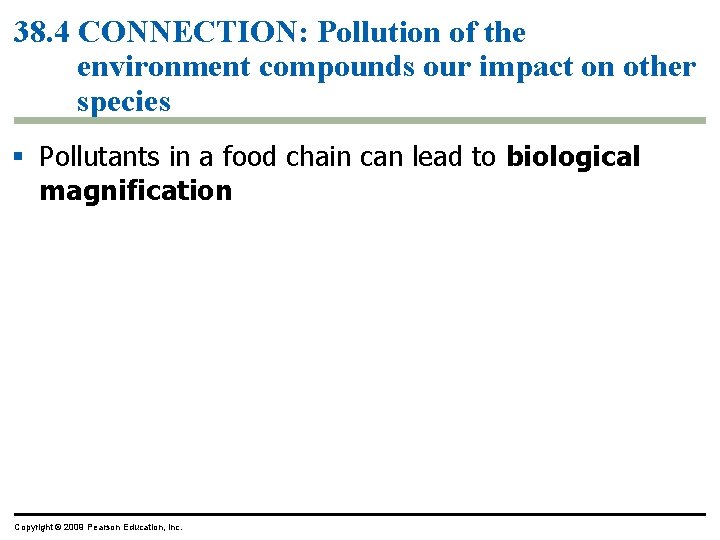 38. 4 CONNECTION: Pollution of the environment compounds our impact on other species §