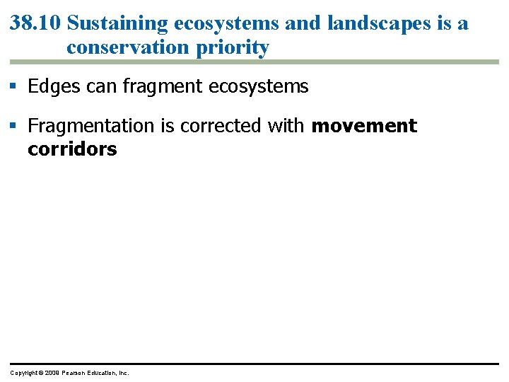 38. 10 Sustaining ecosystems and landscapes is a conservation priority § Edges can fragment