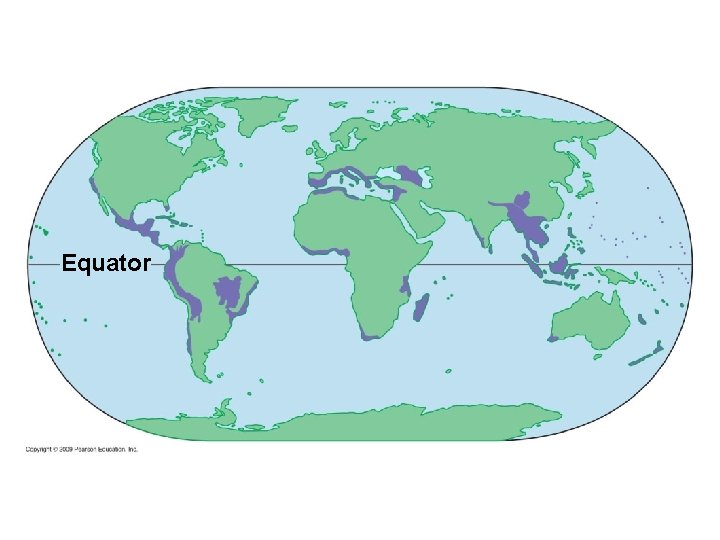 Equator 