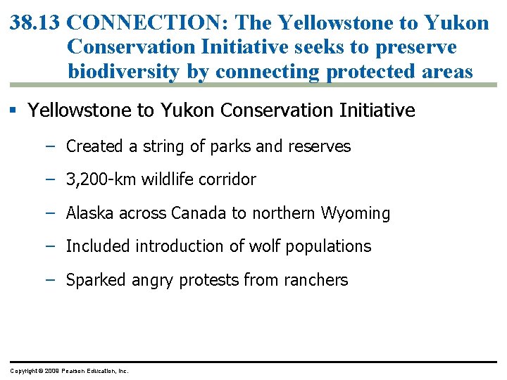 38. 13 CONNECTION: The Yellowstone to Yukon Conservation Initiative seeks to preserve biodiversity by