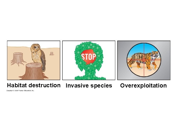 Habitat destruction Invasive species Overexploitation 