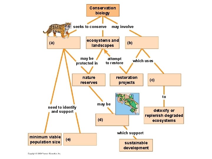 Conservation biology seeks to conserve may involve ecosystems and landscapes (a) may be protected