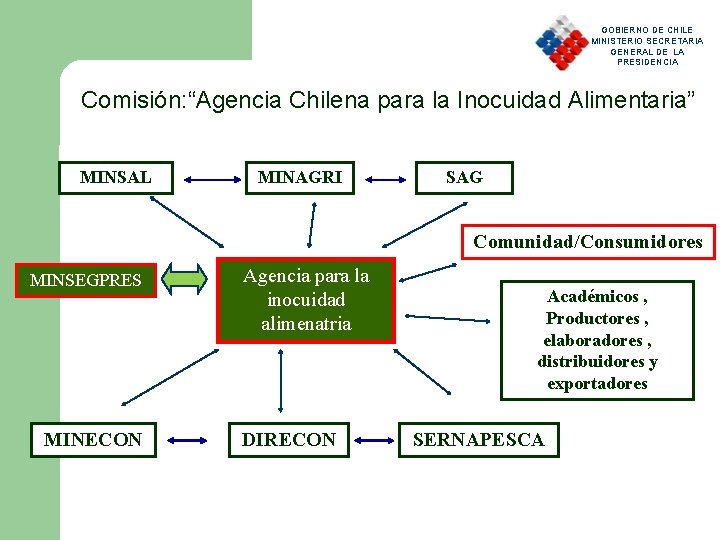 GOBIERNO DE CHILE MINISTERIO SECRETARIA GENERAL DE LA PRESIDENCIA Comisión: “Agencia Chilena para la